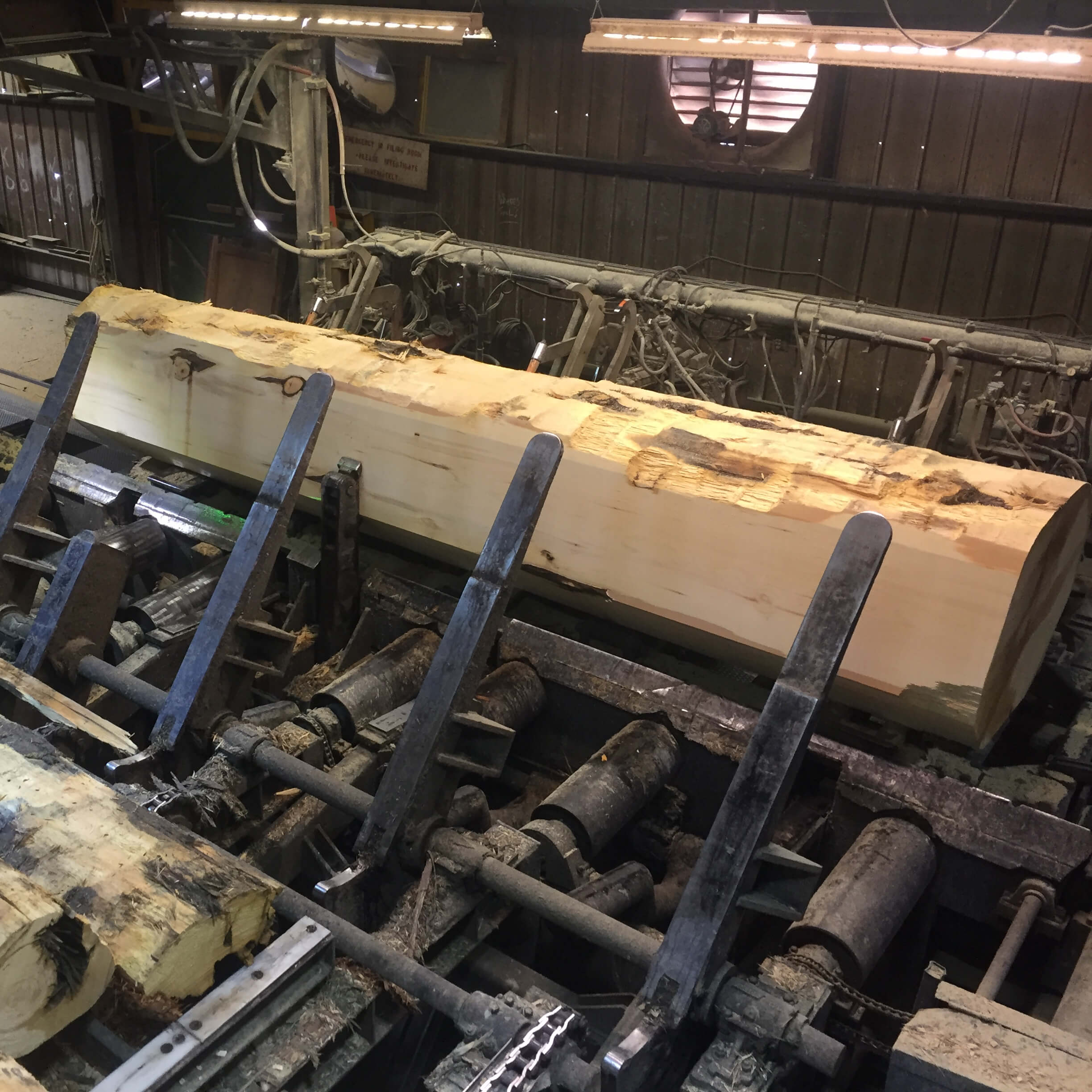Gallery | Yellow Cedar Lumber