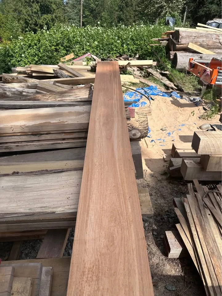 Maple lumber from the business photo collection