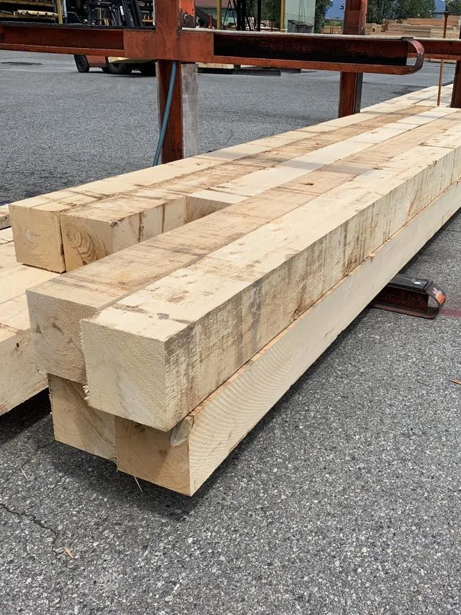 Yellow Cedar lumber from the business photo collection